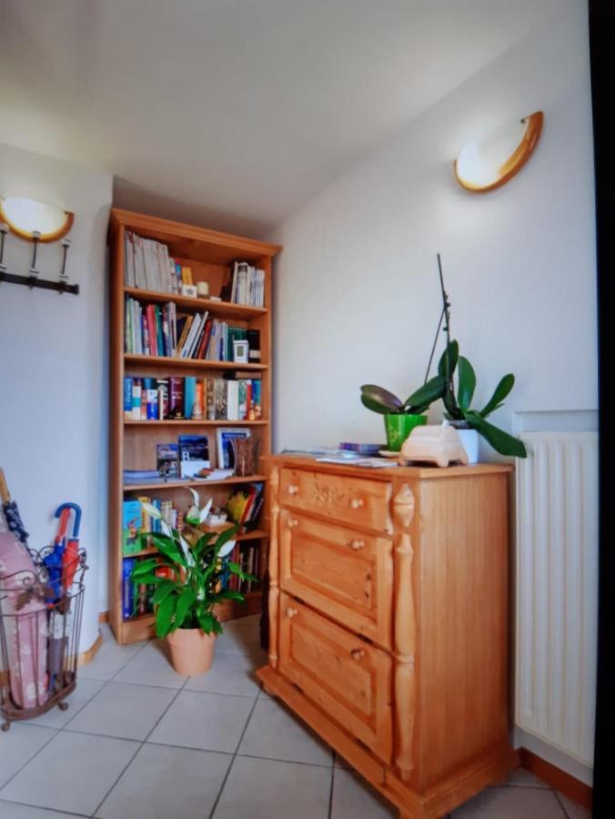 “Oltre Il Confine” Apartman Belluno Kültér fotó
